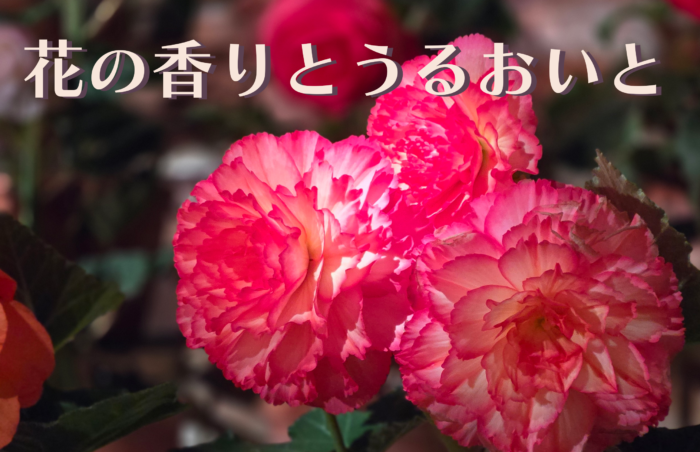 制作部署社員のハンドケア事情