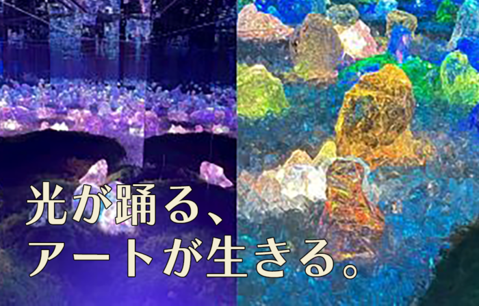 チームラボ バイオヴォルテックス 京都